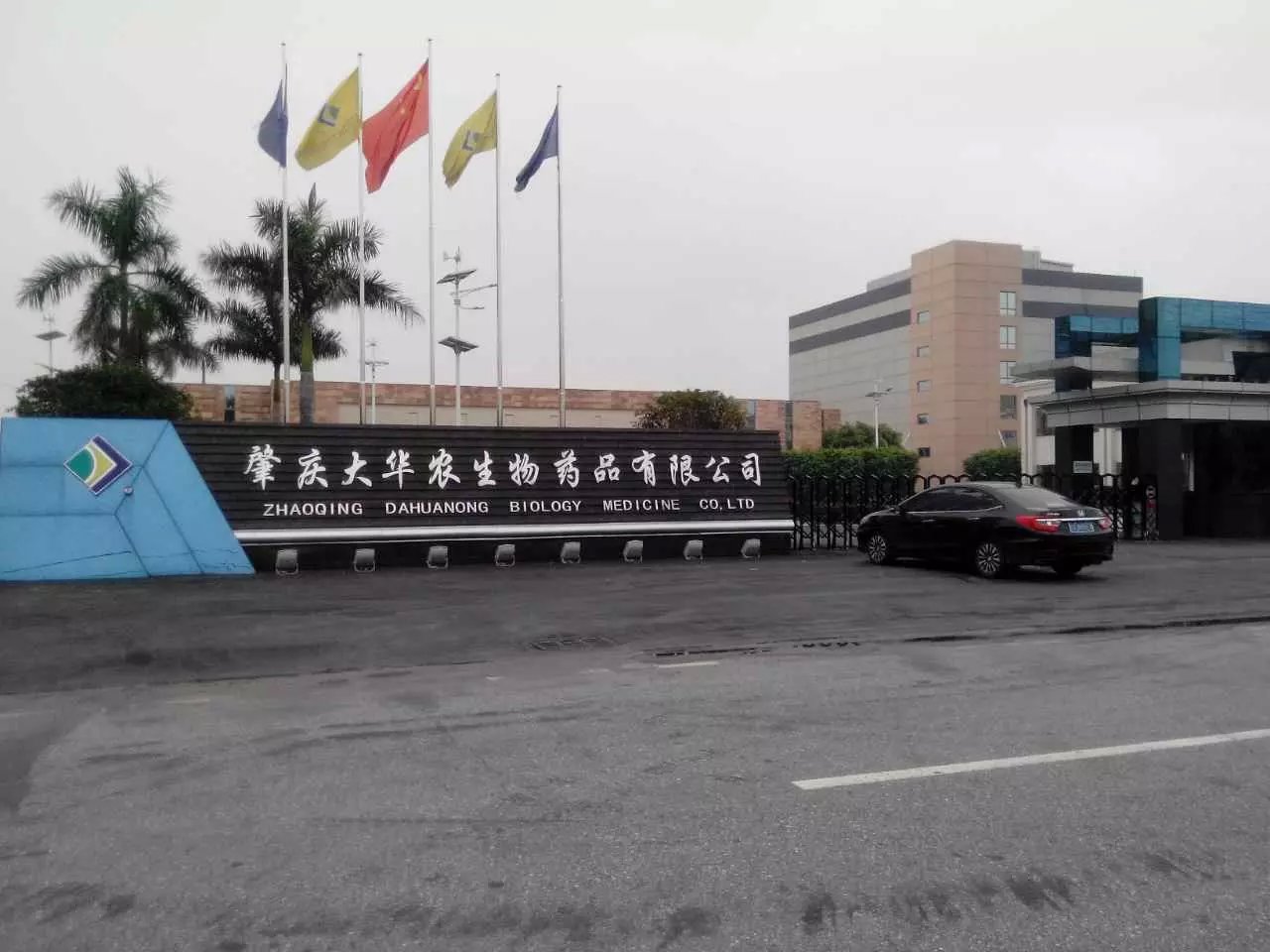 肇庆办公室除甲醛公司