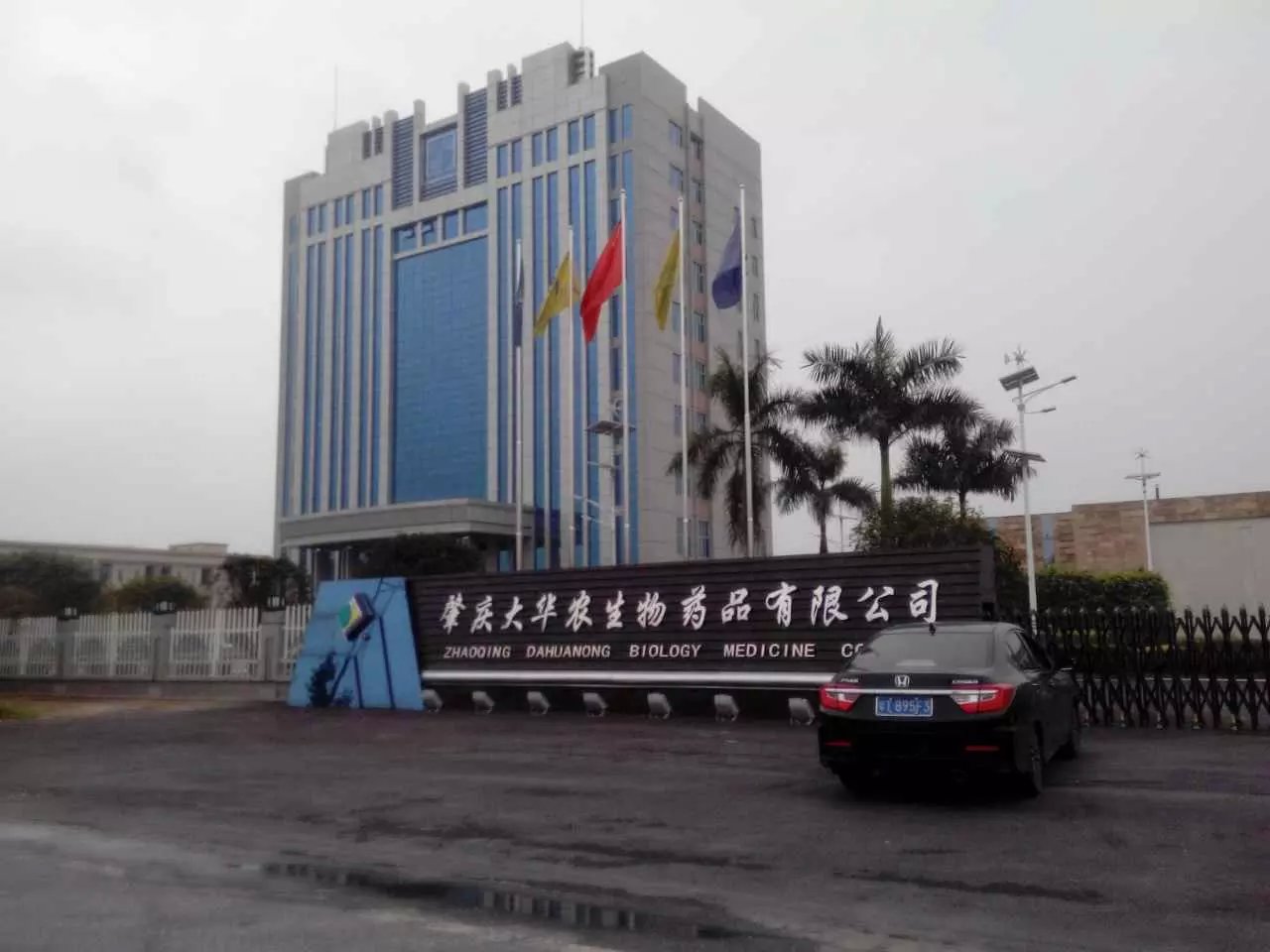 肇庆办公室除甲醛公司