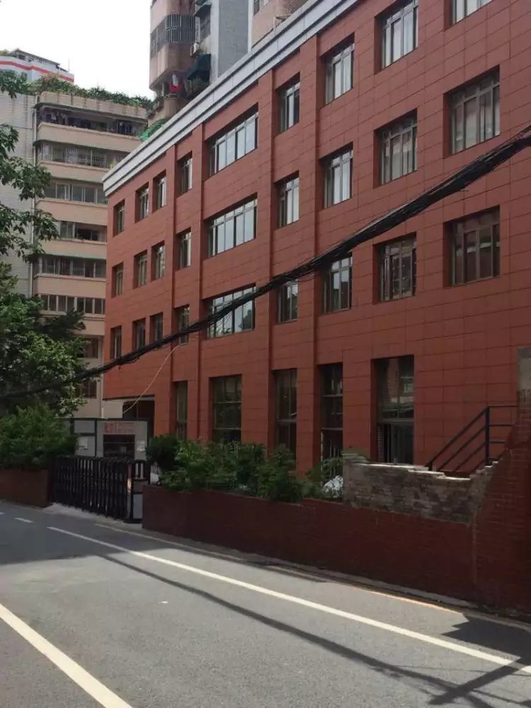 政府机构除甲醛公司