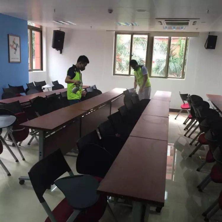 政府机构除甲醛公司