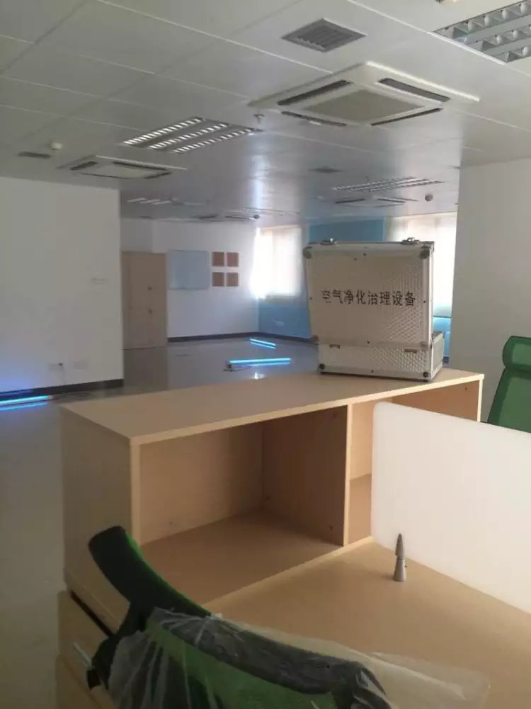 政府机构除甲醛公司