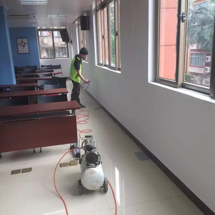 政府机构除甲醛公司