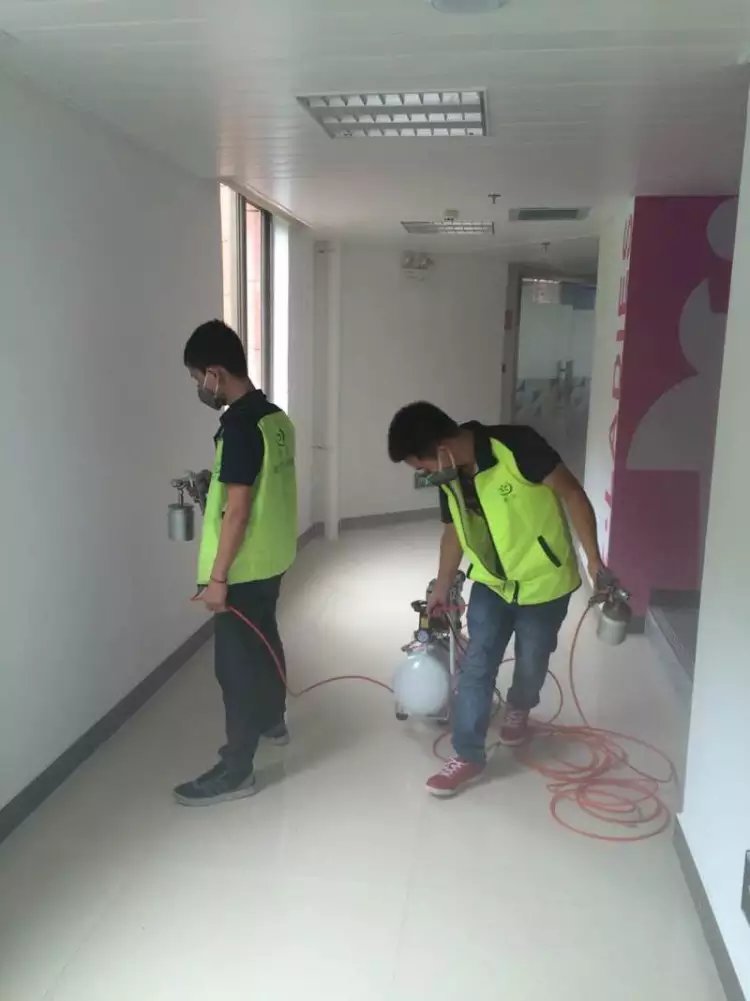 政府机构除甲醛公司