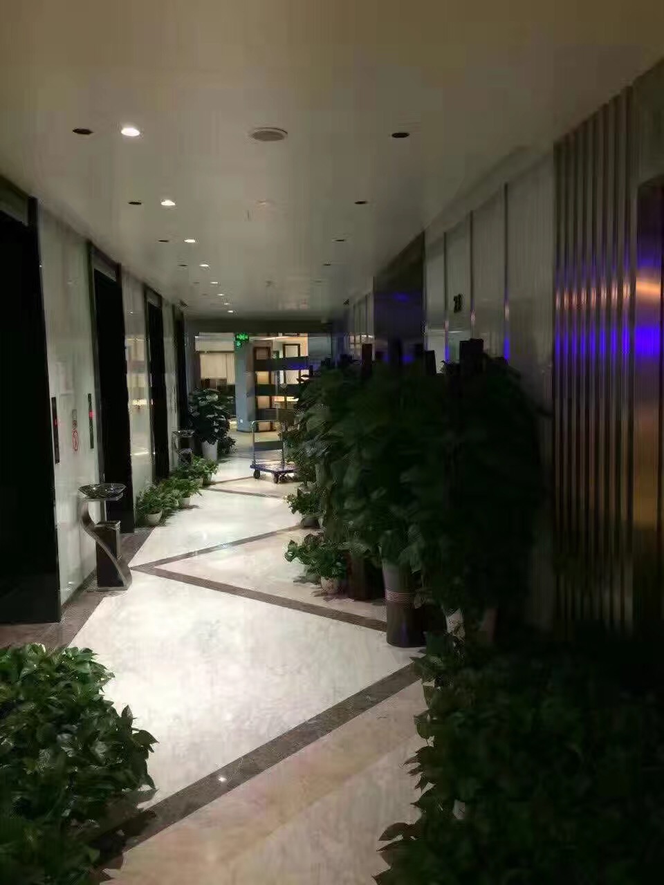 广州除甲醛公司