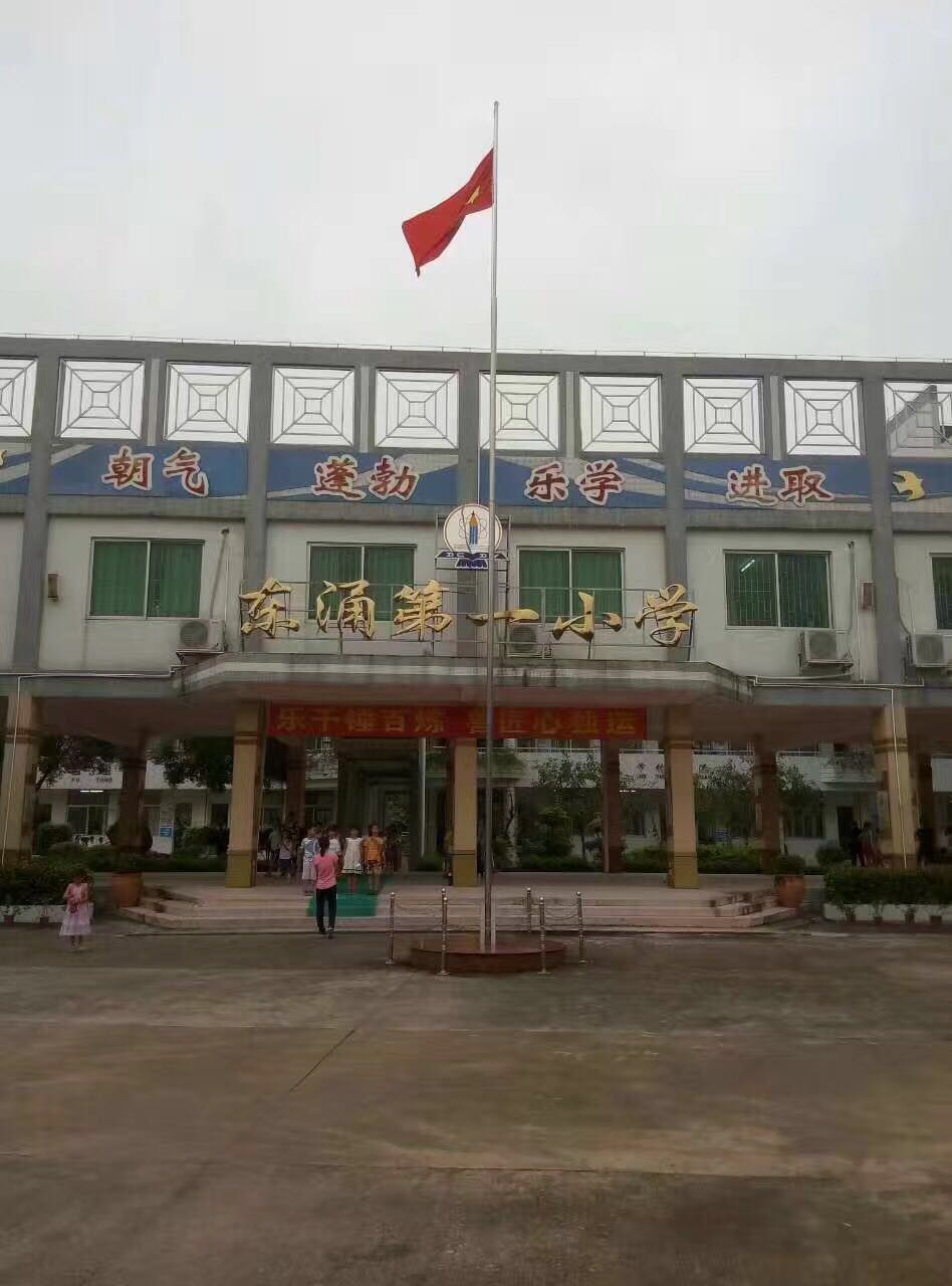 广州学校除甲醛公司